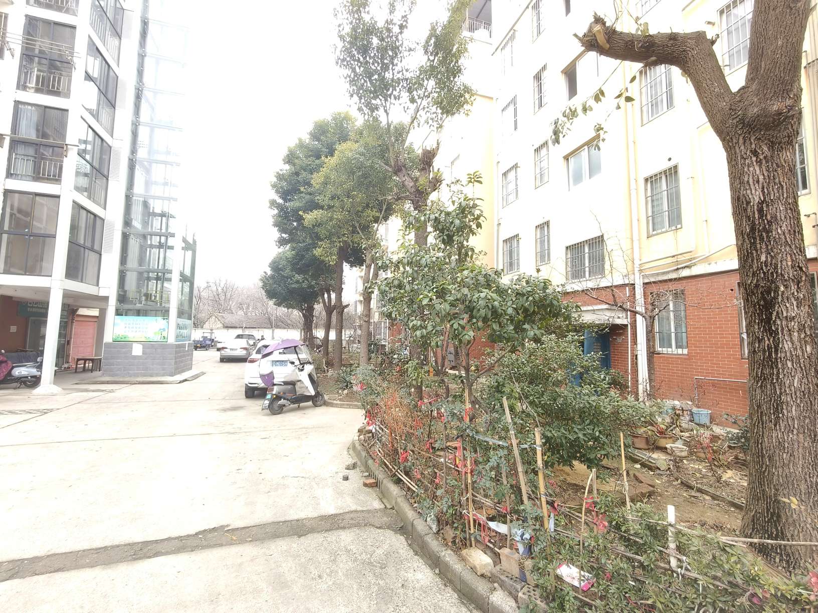 勘探村76平两室一厅 采光好 交通便利 环境好 配套齐全_9