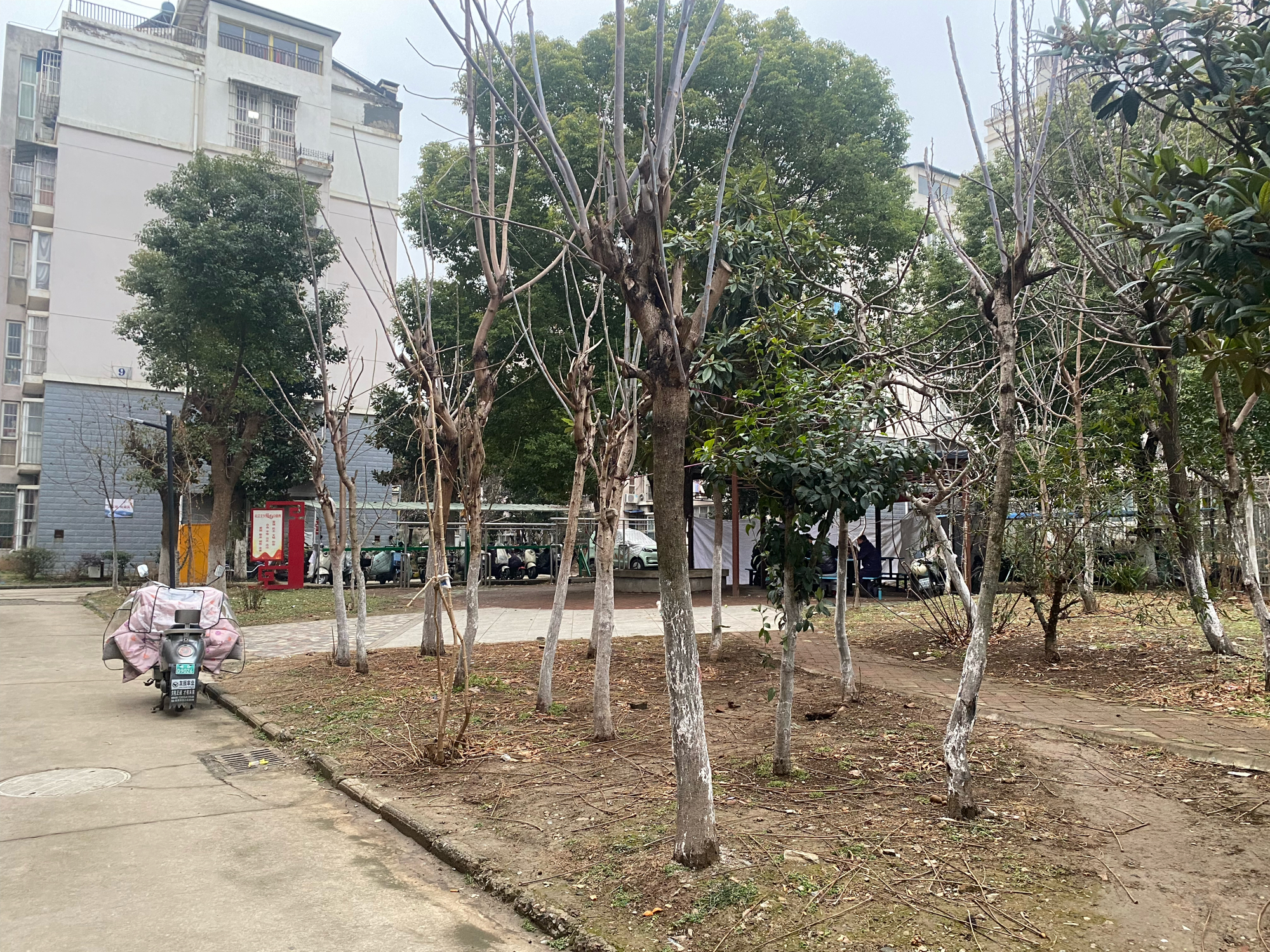 谢三村南区 88平南北通透二居 满两年 学区房 交通便利_10