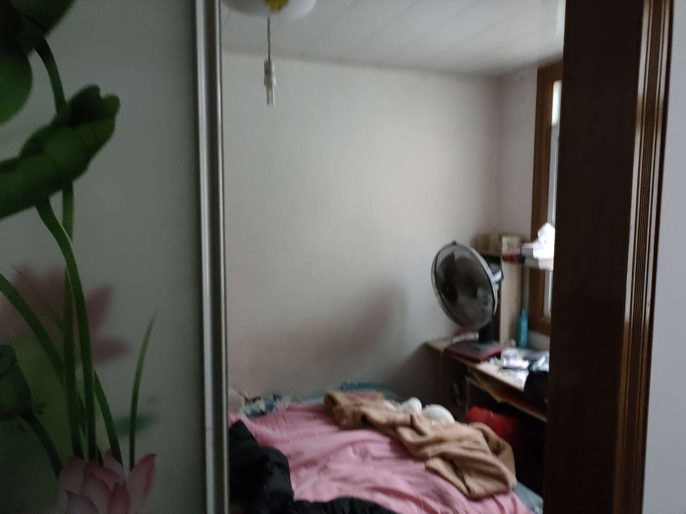 白云小区 63平 南向两室一厅 交通便利 学区房_5