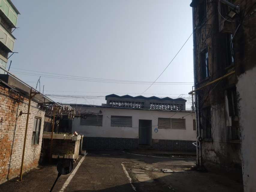 春申北苑 54平 两室一厅 交通便利 满两年 简装出租_10