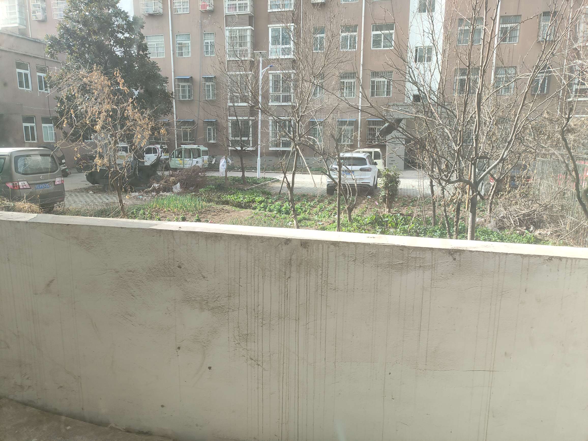杨柳新村_11