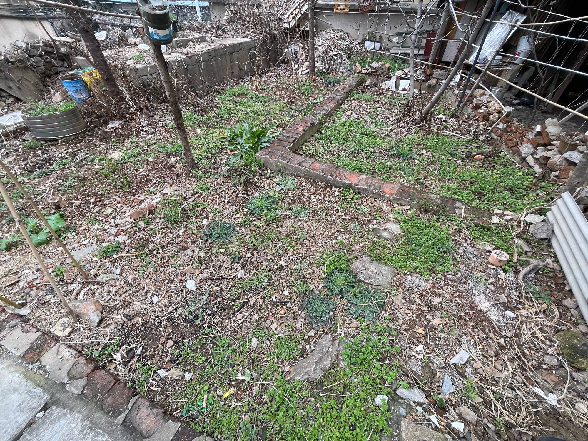 建井新村 52平 南向两居 采光好配套全 随时看房_11