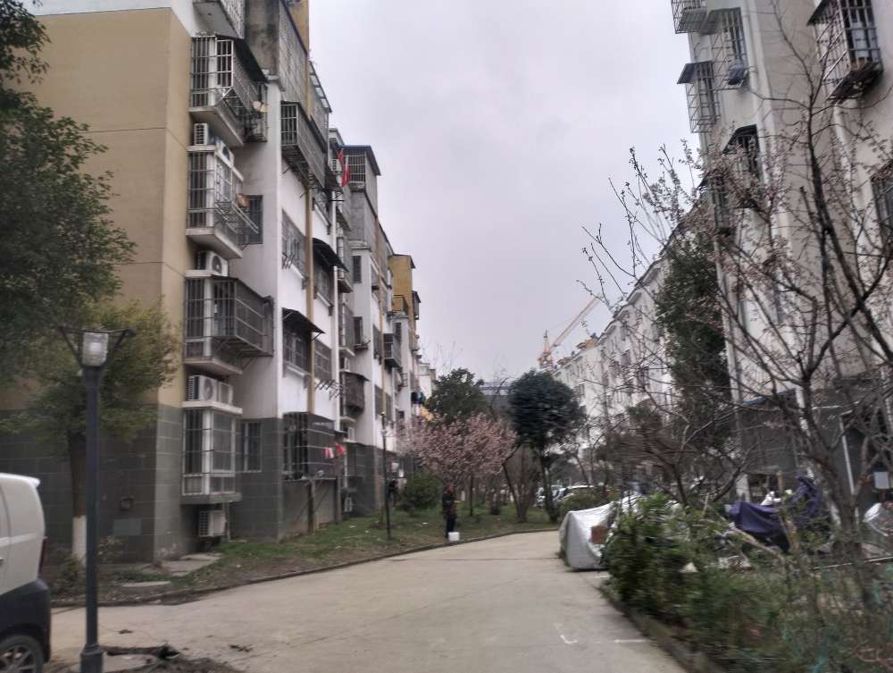 新家园C区 78平 两室一厅 学区房 采光好 环境优_10