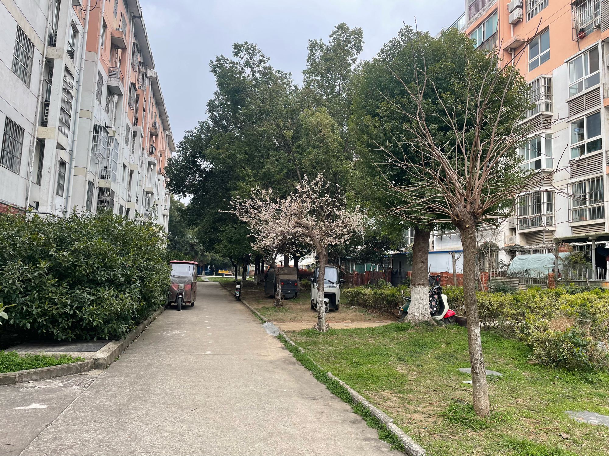 淮上西苑 76平 简装两居 满两年 采光好配套全 单价仅982元/平_16