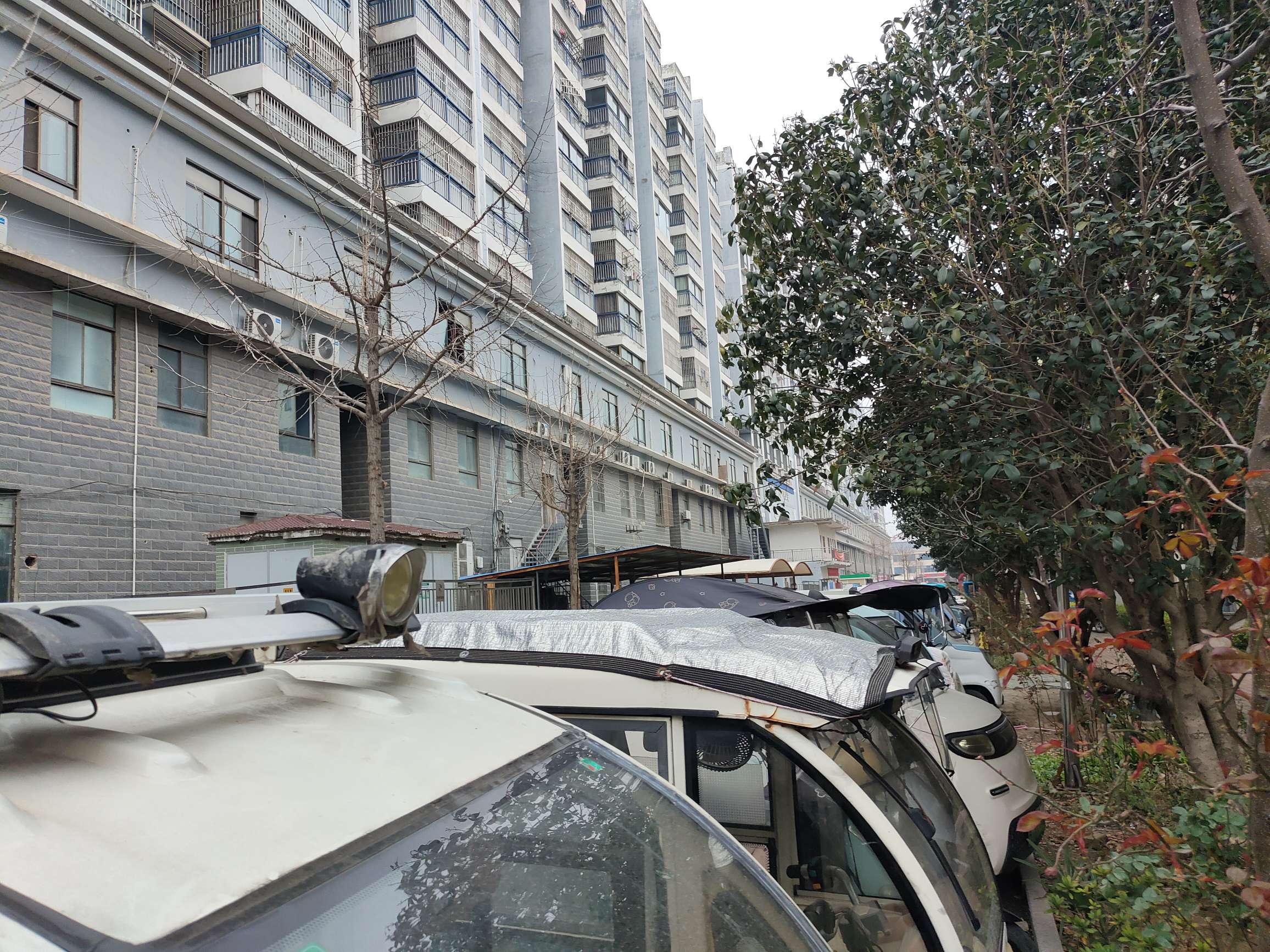 珠江丽景 96平 精装三室 学区房 交通便利 采光好_12