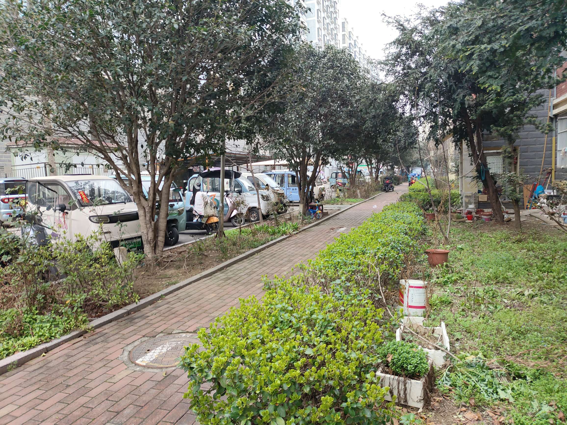 珠江丽景 96平 精装三室 学区房 交通便利 采光好_8