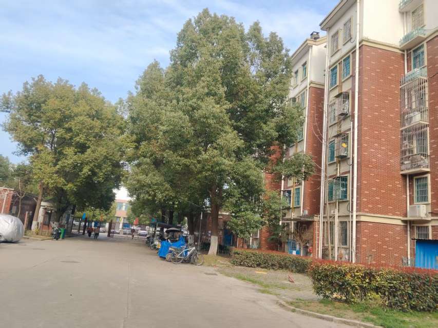 路东村 103平 三室两厅 满两年 普装好房 采光交通便利_16