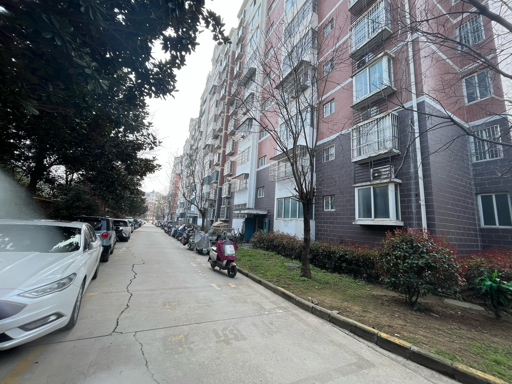 西都绿洲 89平精装两室 南向采光好 交通便利_10