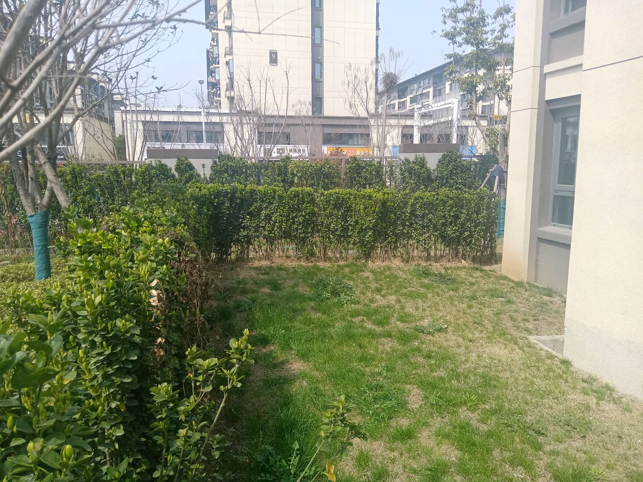 雍荣府 151平 三室两厅 低密度洋房 毛坯随心装 学区房_14