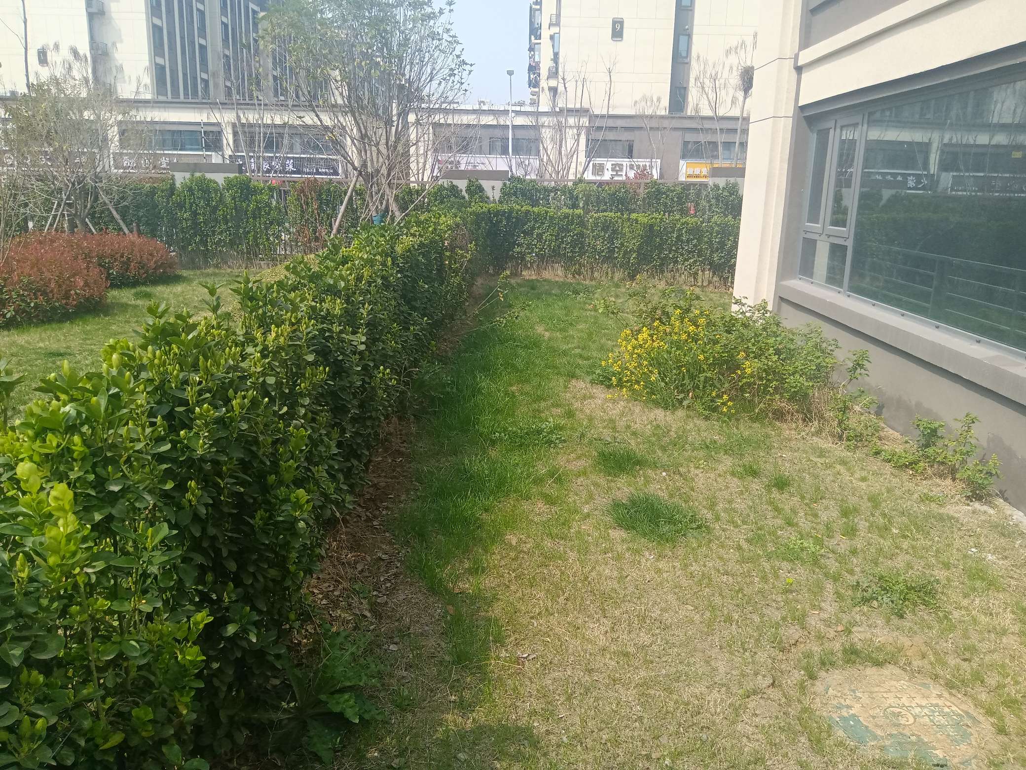 雍荣府 151平 三室两厅 低密度洋房 毛坯随心装 学区房_13