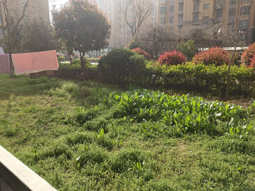 玫瑰苑小区 103平 南北通透三室 满五唯一 交通便利_8