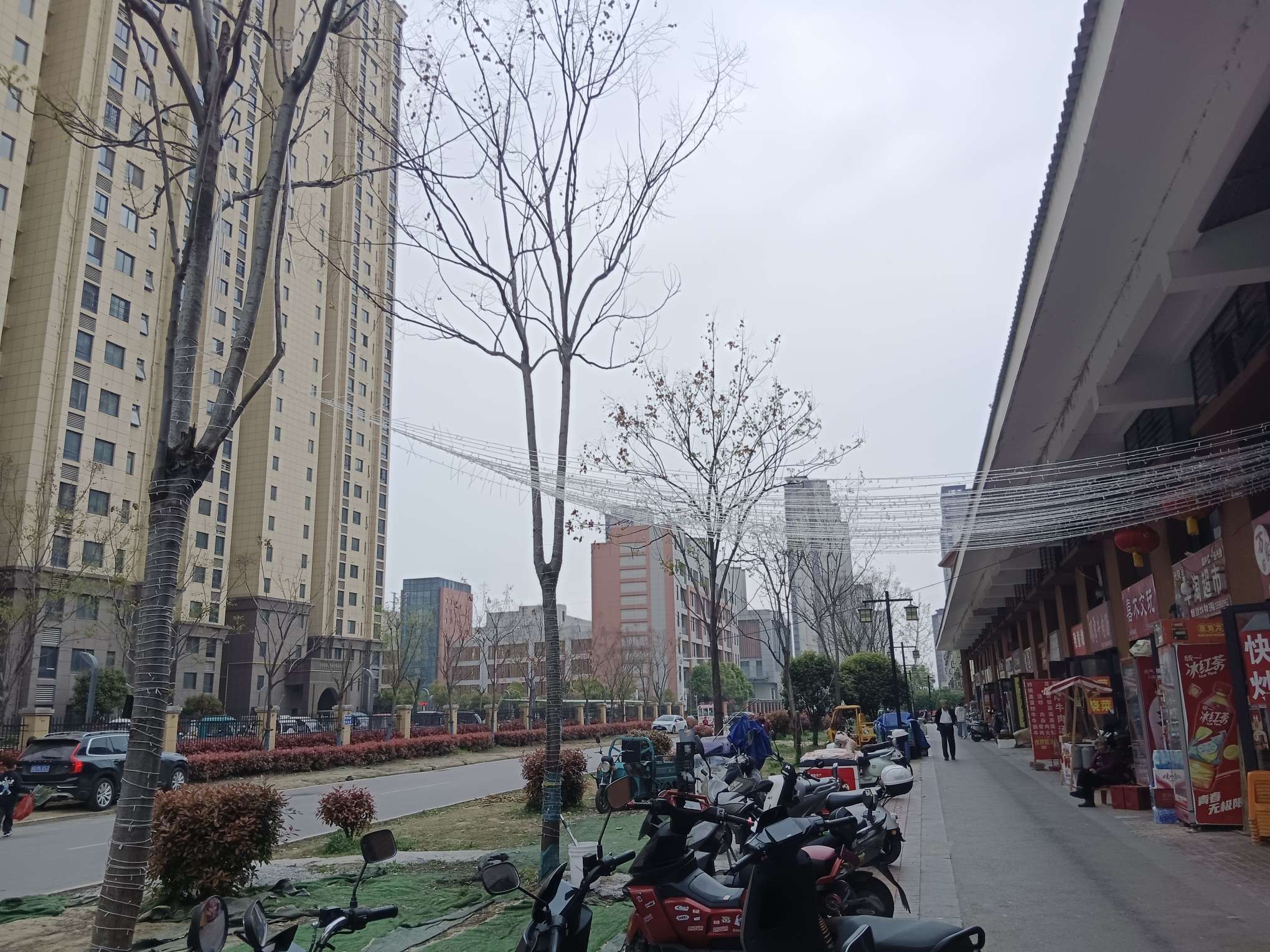 锦天花鸟鱼虫市场 40平商铺 南向优质地段 简装出租_8