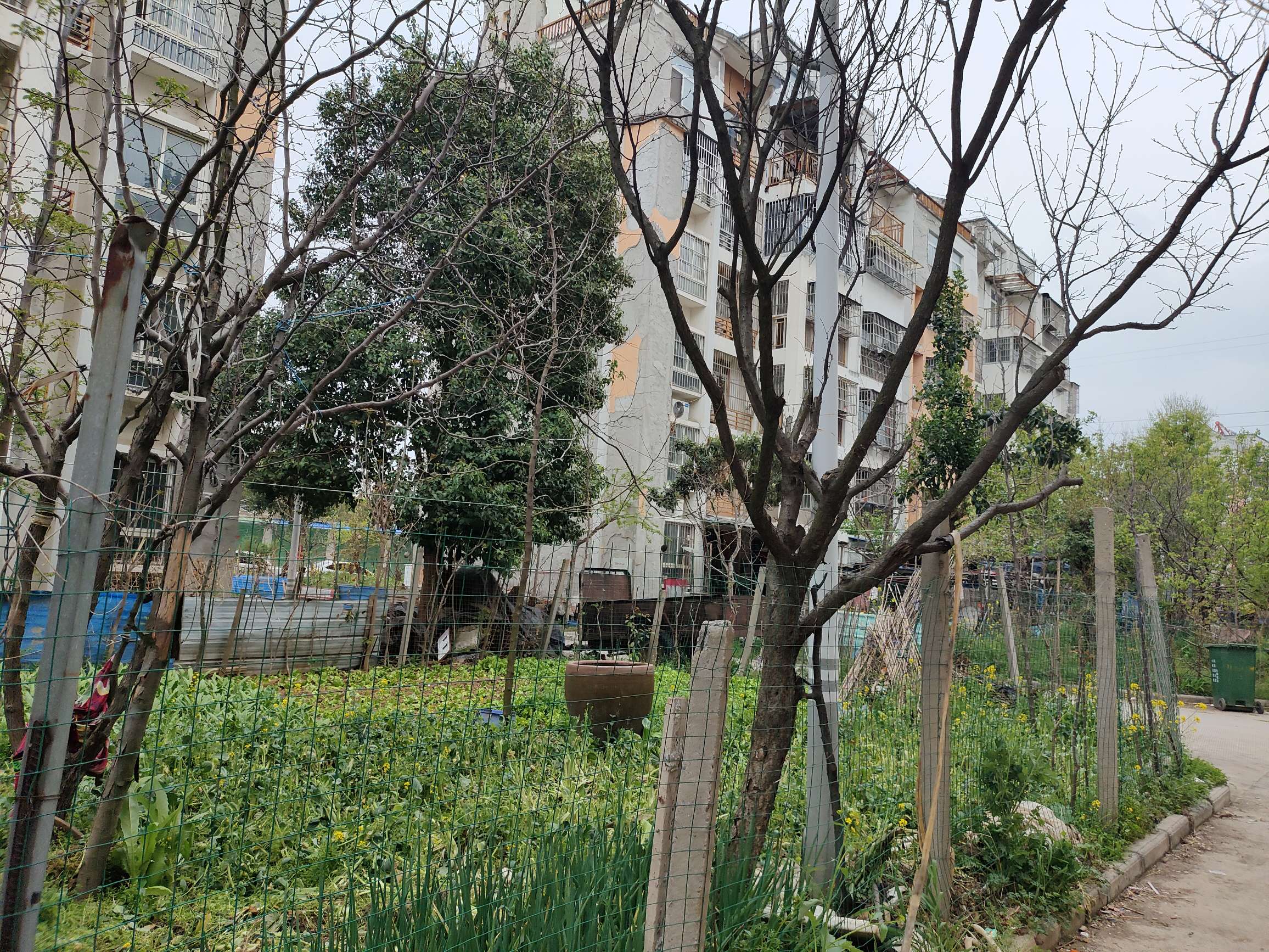 祥苑社区 85平 精装两室 满两年 采光好 交通便利_9
