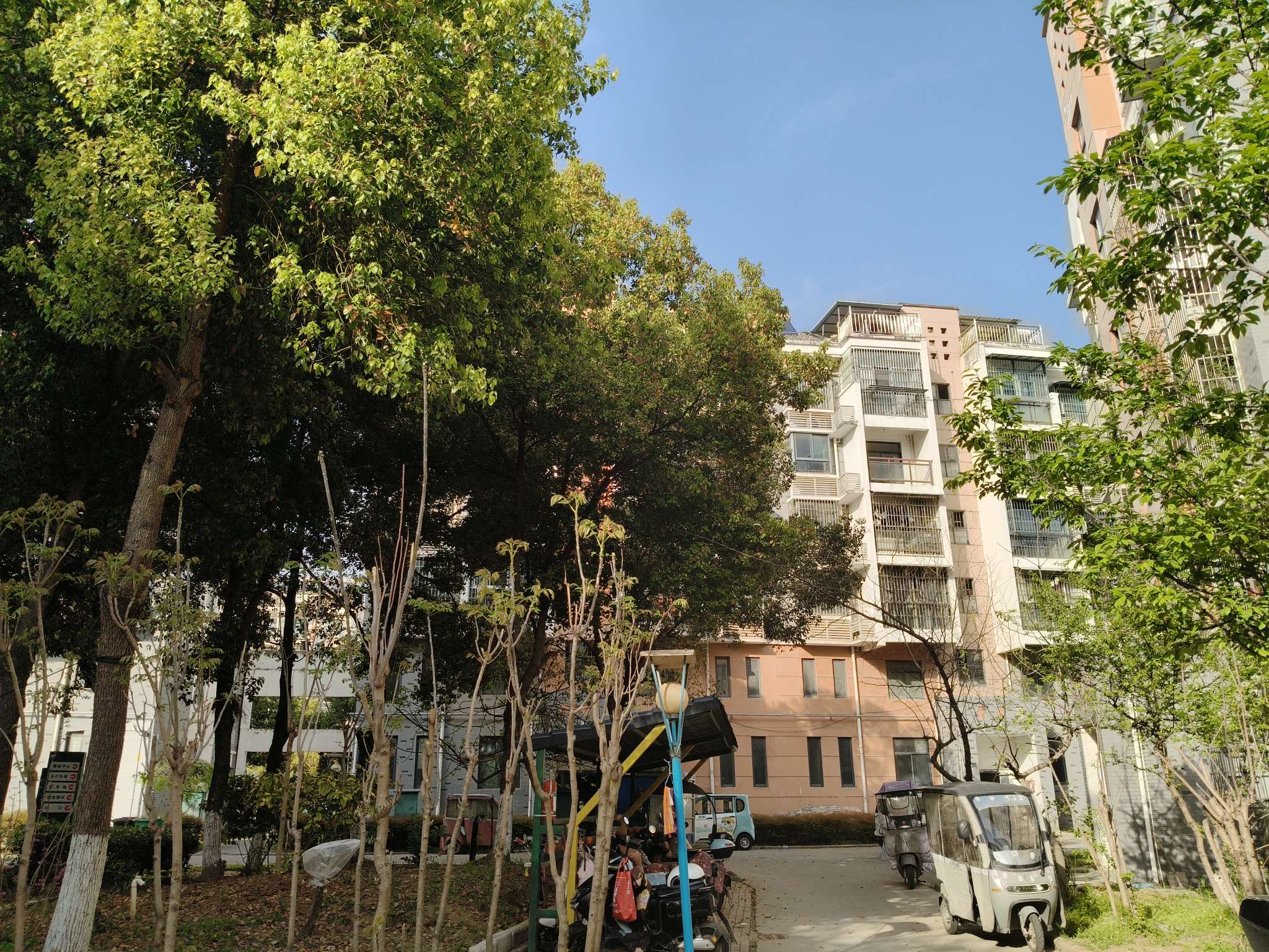 谢家集新村D区_10