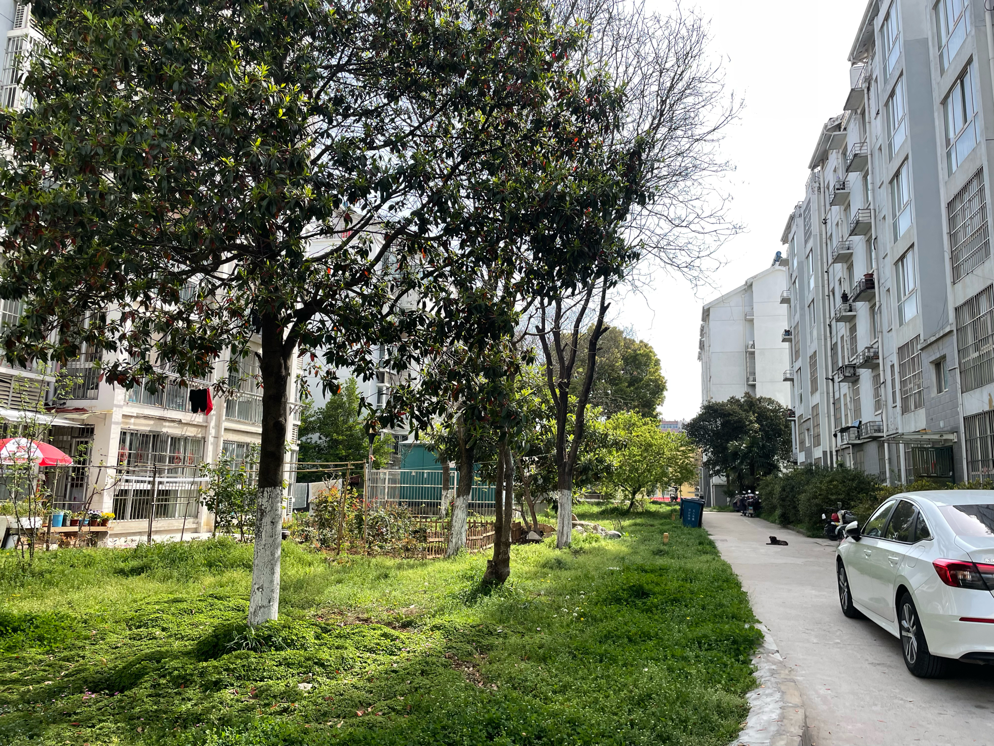 上游新村 100平 三室两厅 南北通透 单价1580元/平 简装好房_17