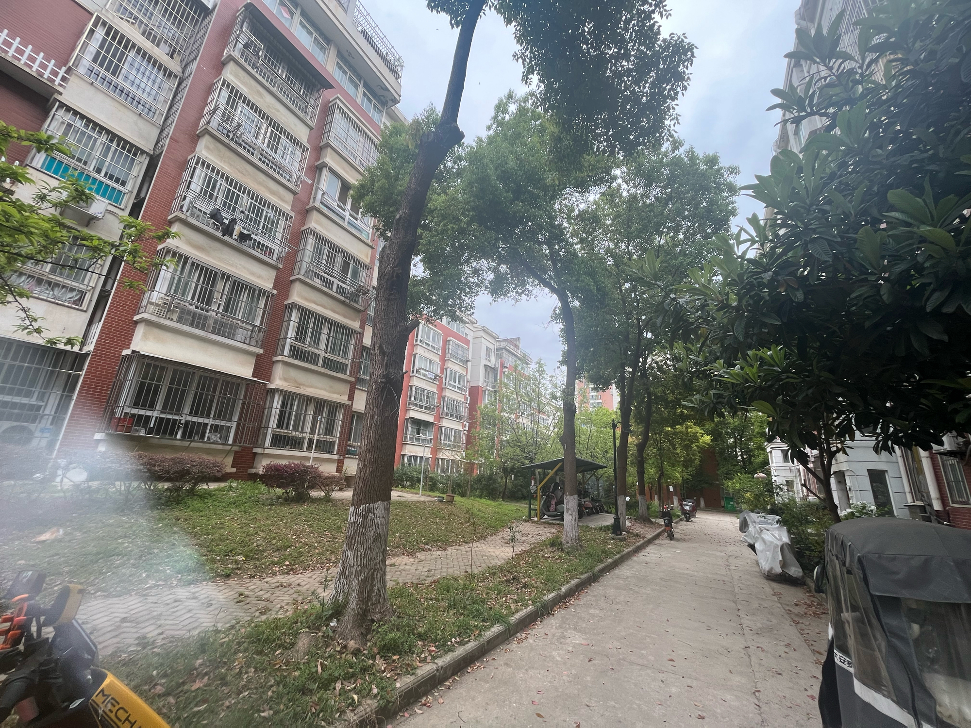 谢三村东区 101平 精装三室 交通便利配套齐全_13