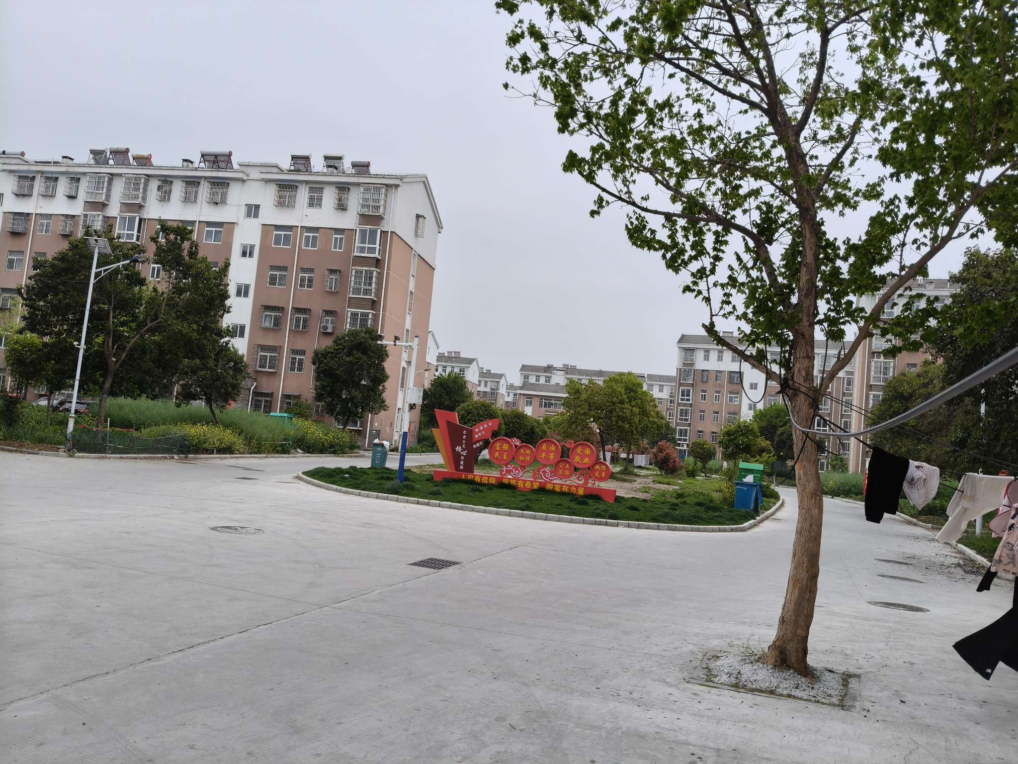 杨柳新村 48平 一室一厅 交通便利 学区房 简装出售_9
