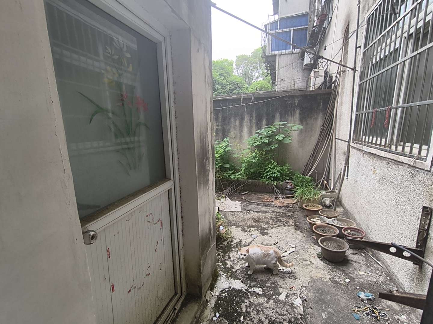 中兴村 69平 南向两室 满两年 交通便利_12
