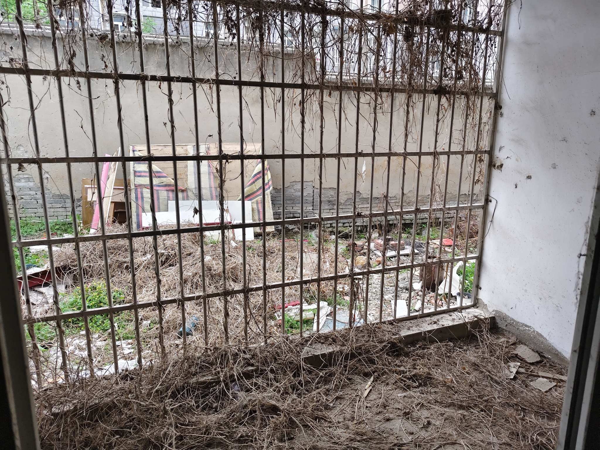 九龙岗农民新村二期 106平 三室两厅 采光好 随时看房_8