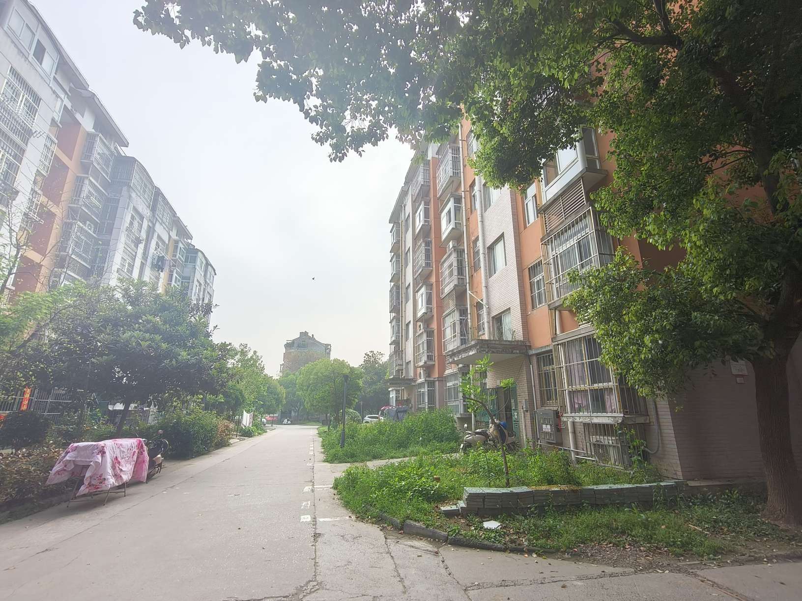 河西小区二期 70平 两室一厅 交通便利 随时看房_10