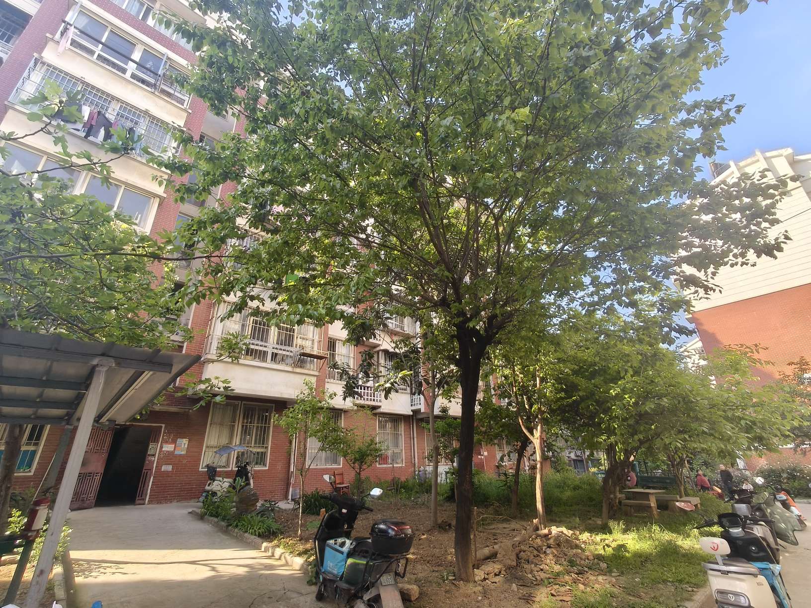 谢三村东区 95平 三室一厅 交通便利 配套齐全 简装好房_14