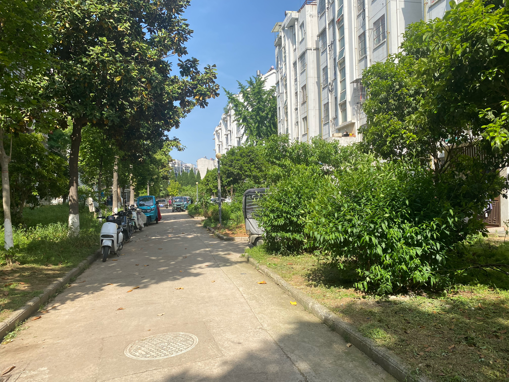 支架村 77平 两室两厅 简装出租 交通便利 配套齐全_10