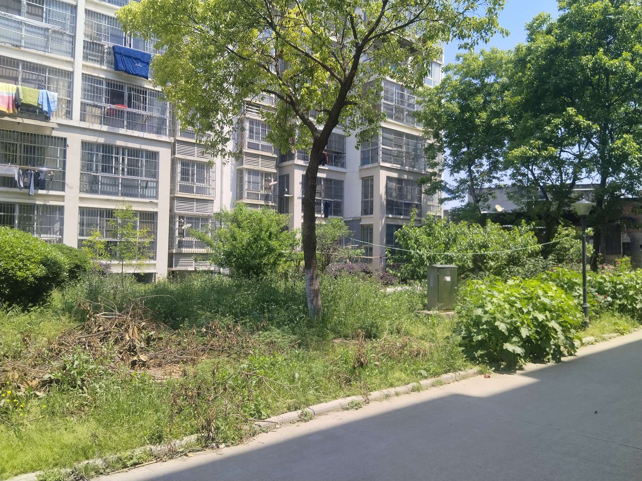 香樟苑二期 82平 精装两室 单价仅2195元/平 交通便利_7