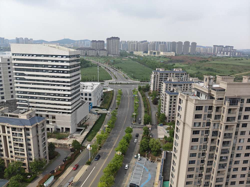 中央公园附近 龙成奥三期毛坯三房出售_7