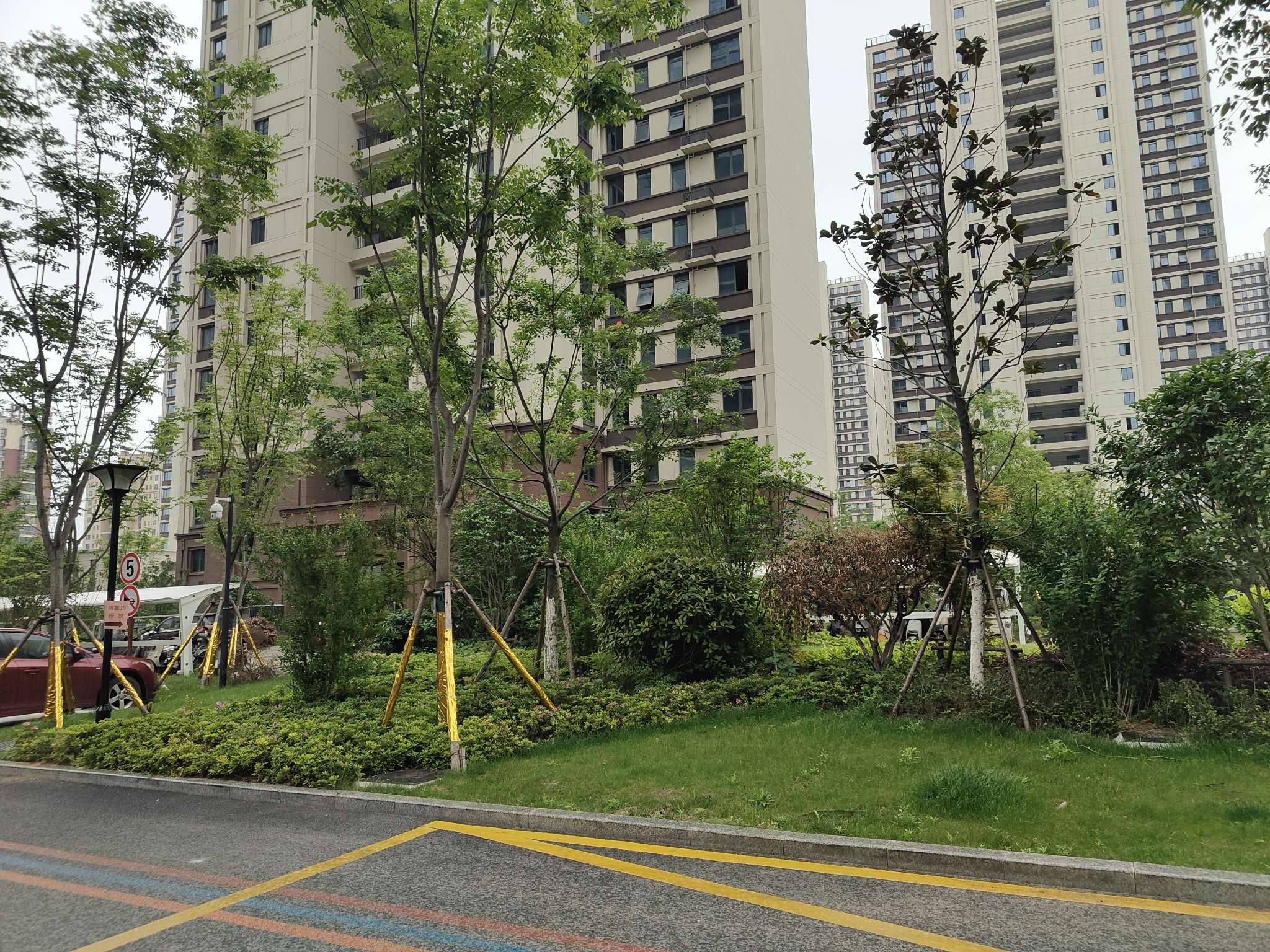 向阳苑 97平 三室两厅 毛坯房 单价仅2907元/平 随时看房_8