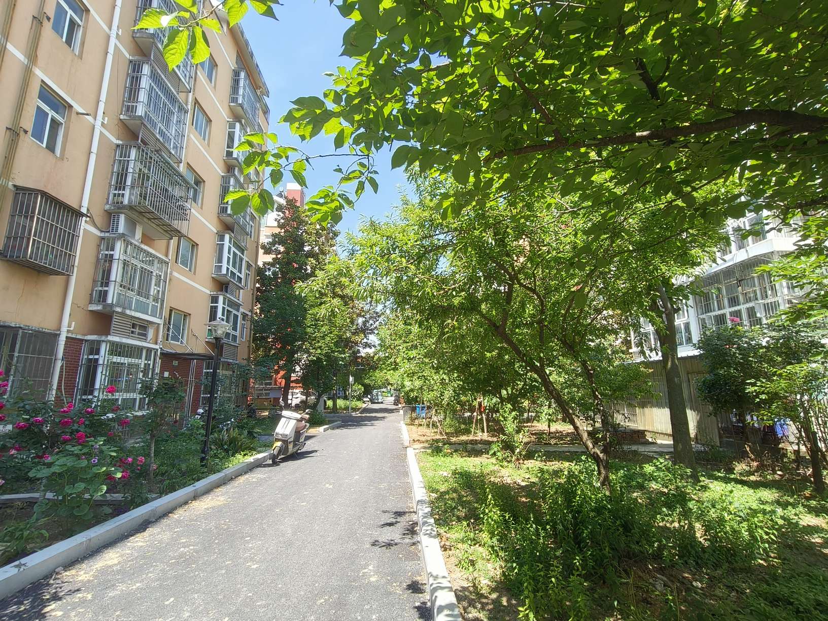 河西小区一期 70平 两室一厅 学区房交通便利 简装出租_9