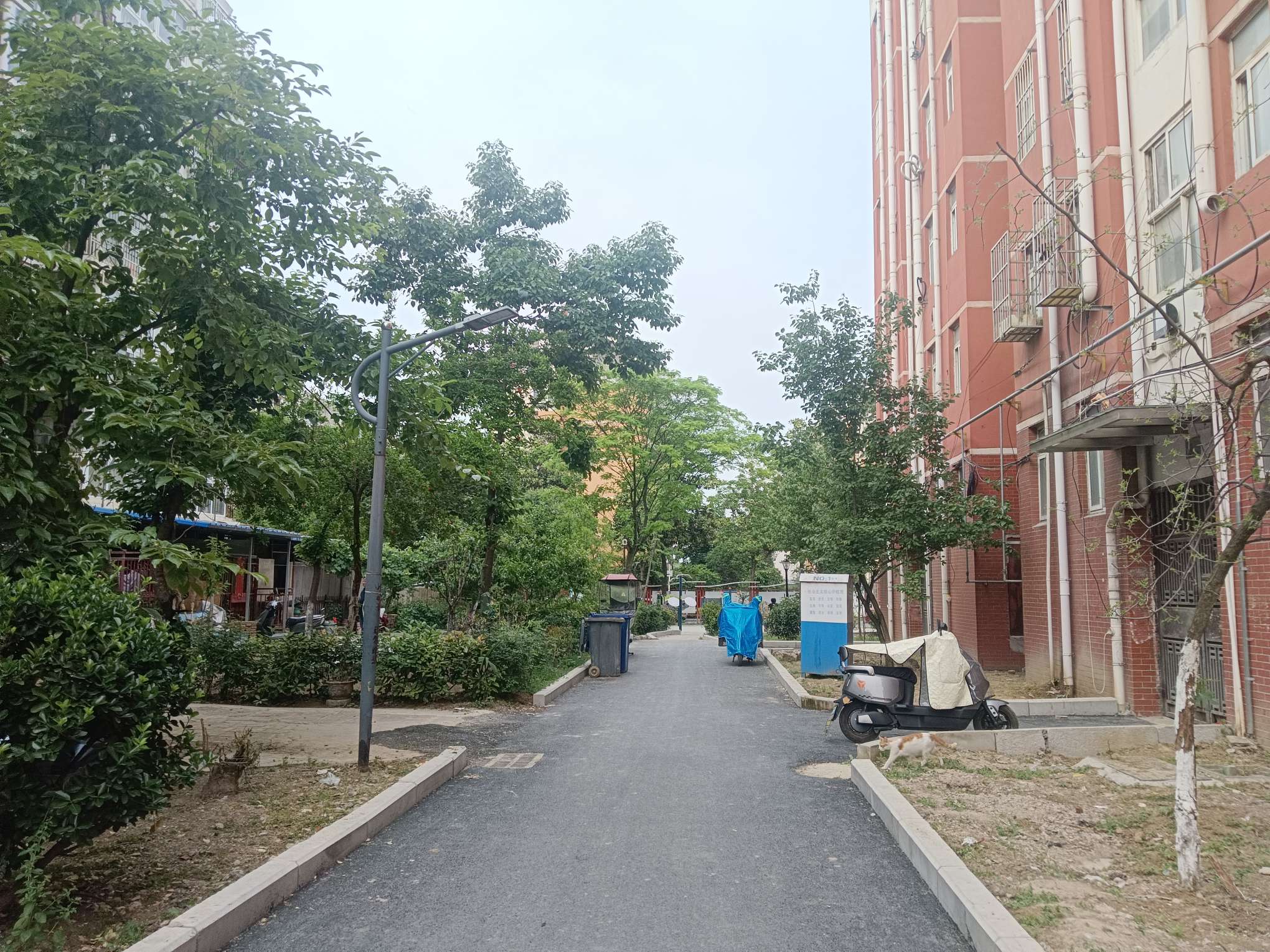 谢二东村北区 74平 两室一厅 交通便利 学区房 简装出租_11