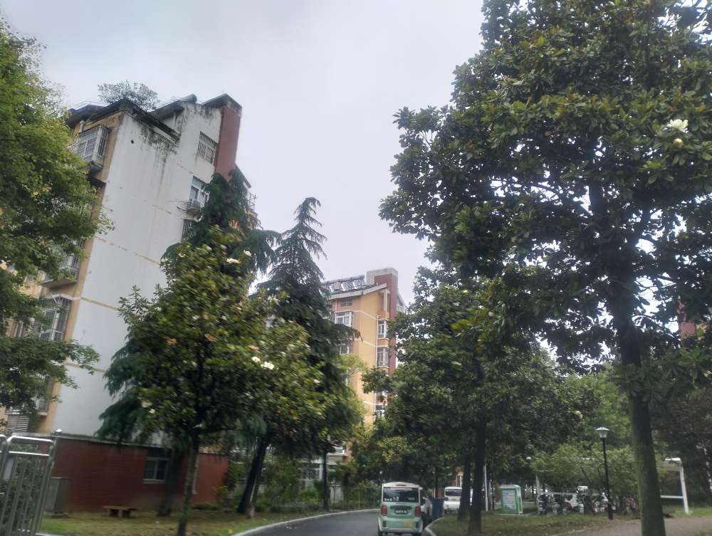 河西小区 70平 两室一厅 满两年 学区房 随时看房_8