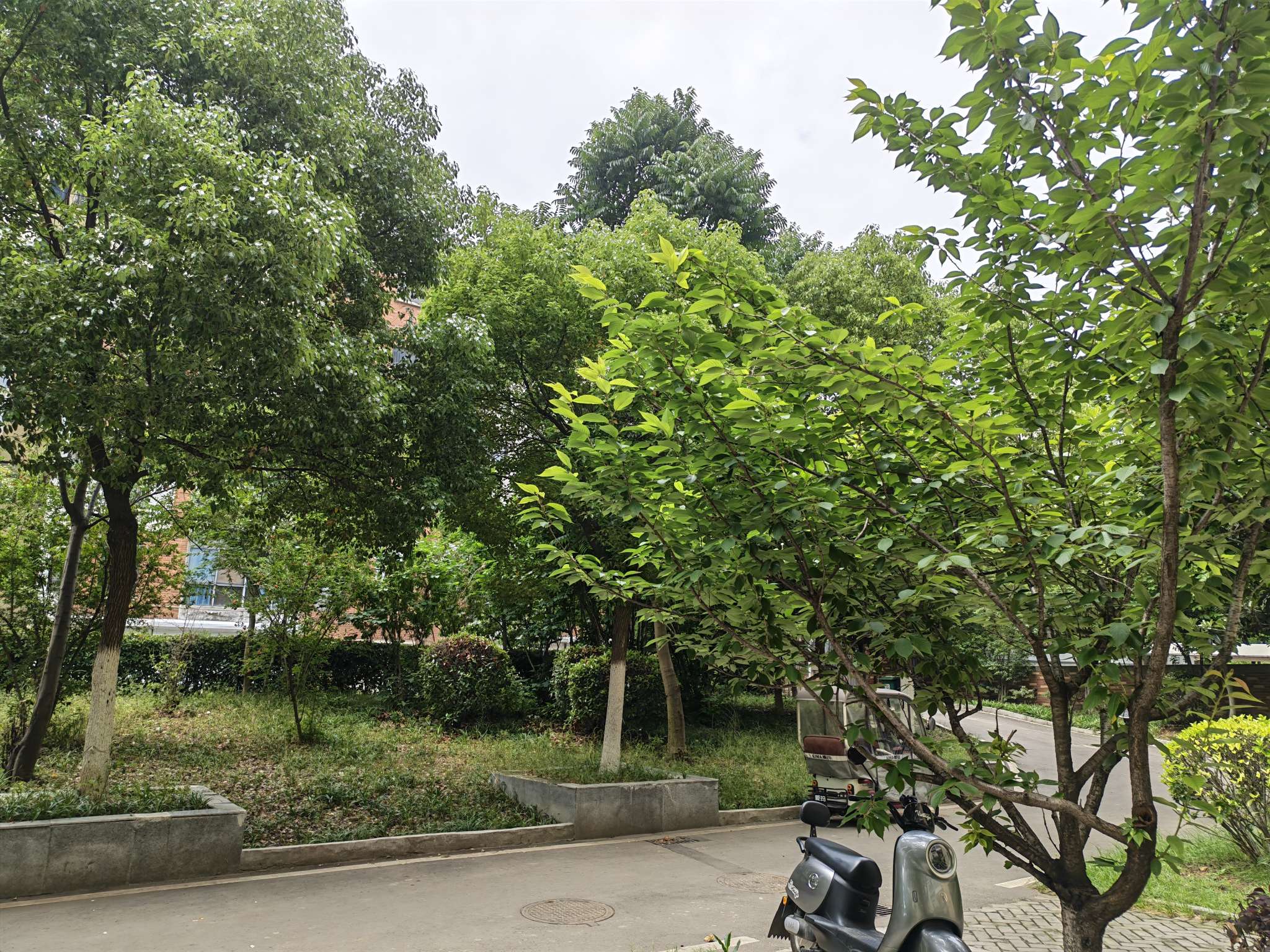 信谊四季城 90平 两室一厅 交通便利 学区房 普装_7