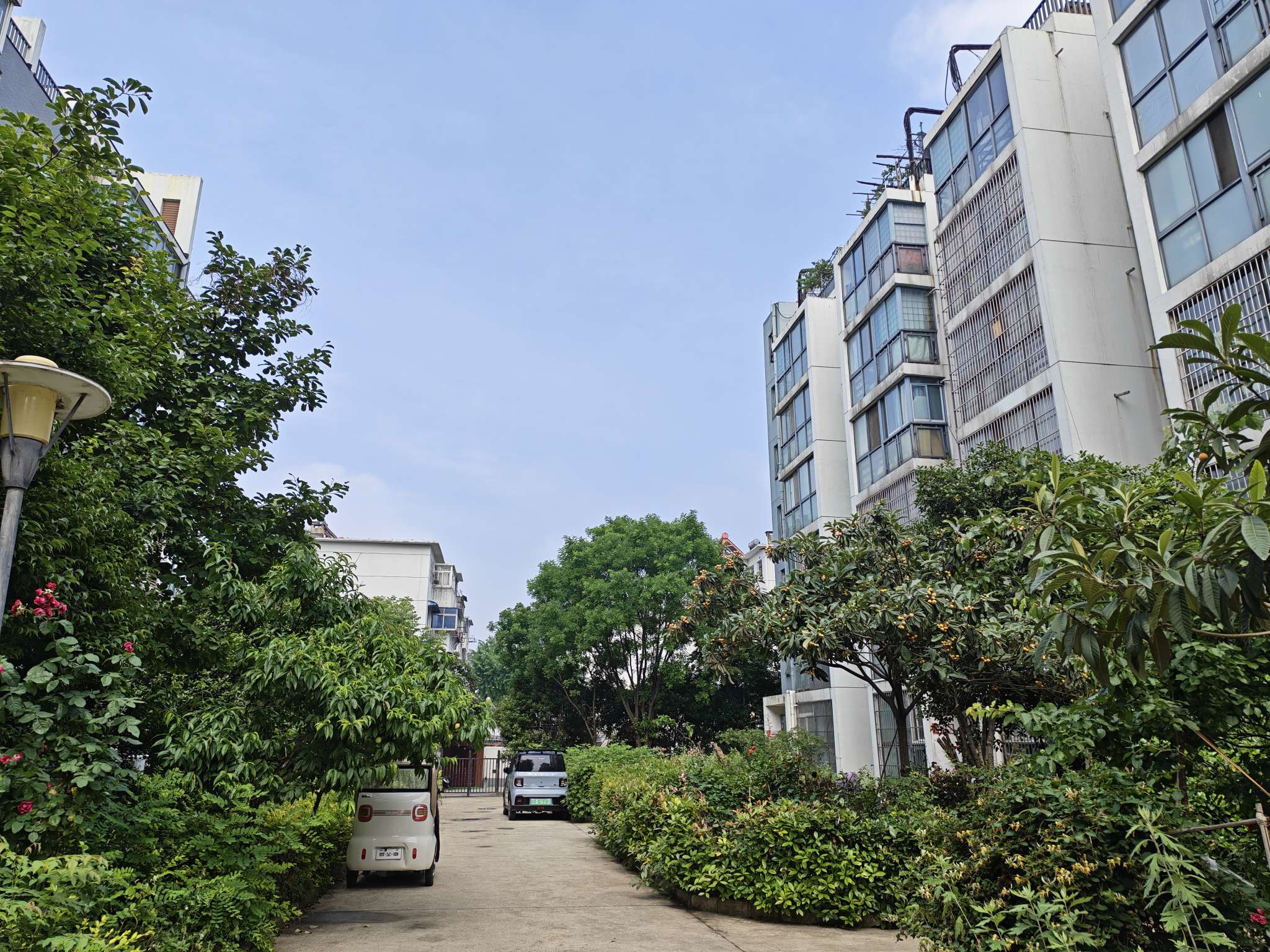 金岭新村 74平 两室两厅 南向采光好 交通便利_7