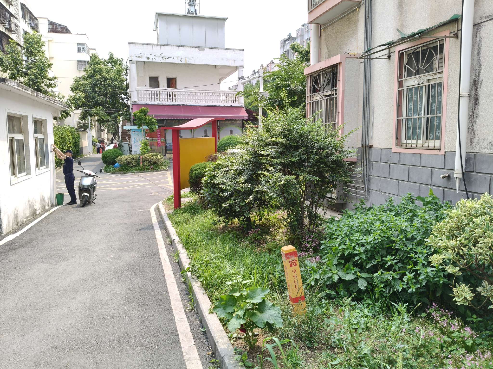 金玉新村 85平 南向两居 简装出租 交通便利_11