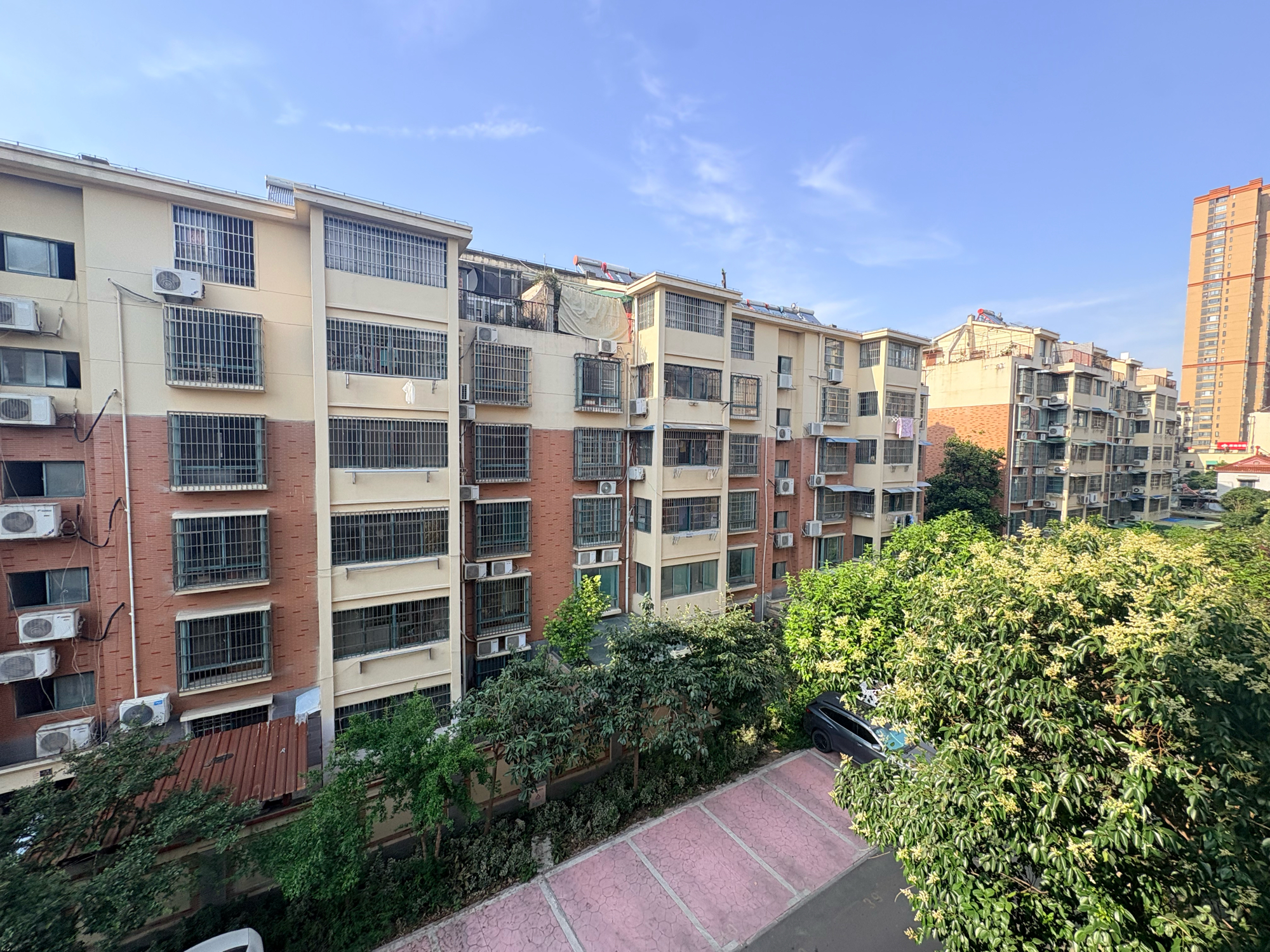 东苑东区 大户型  3室2厅 有电梯 楼位置极好 精装修_8