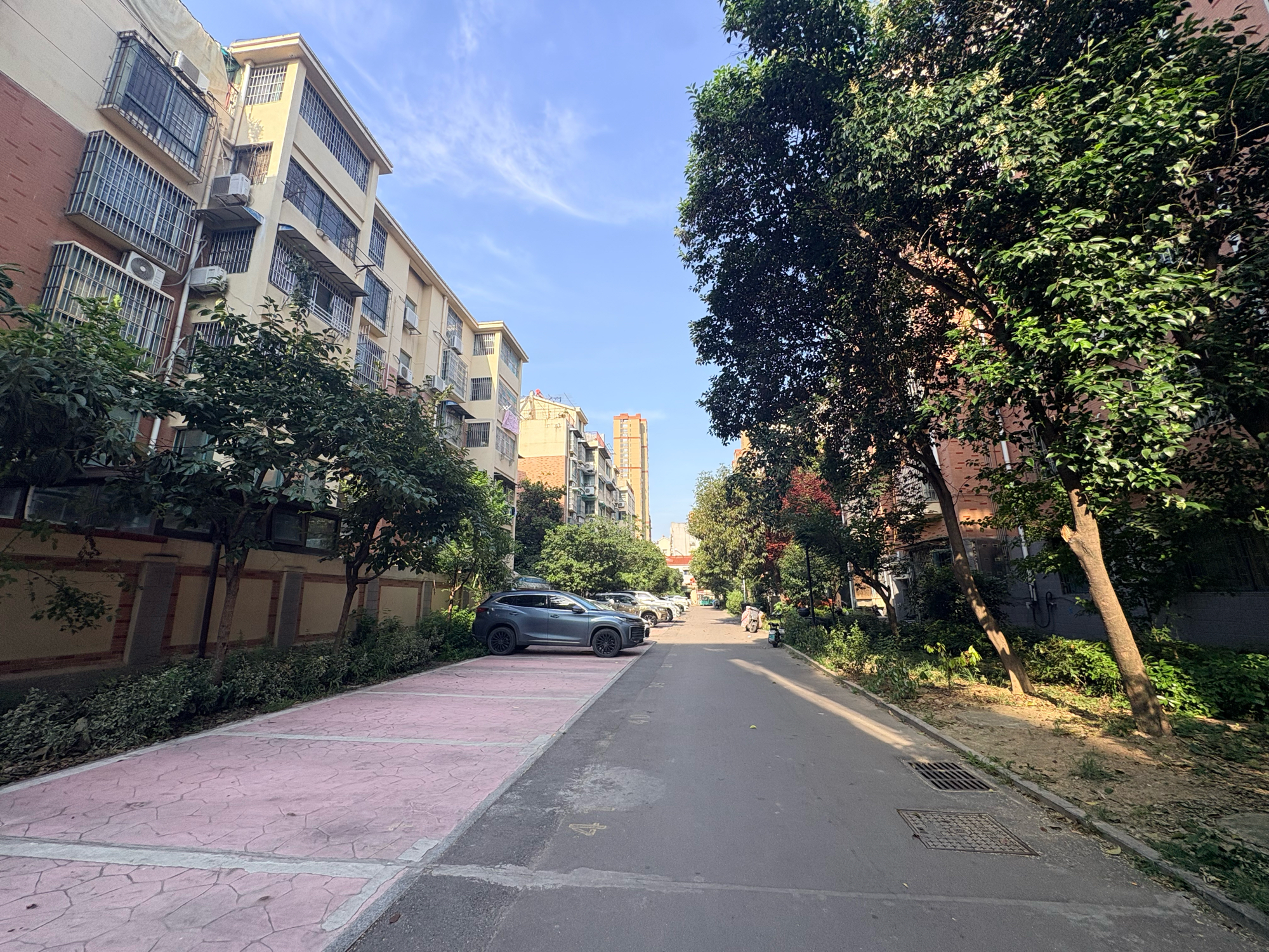 东苑东区 大户型  3室2厅 有电梯 楼位置极好 精装修_10