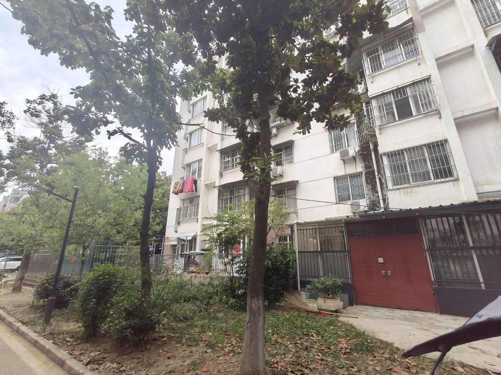 新社四村3室1厅精装修婚房房出售_11