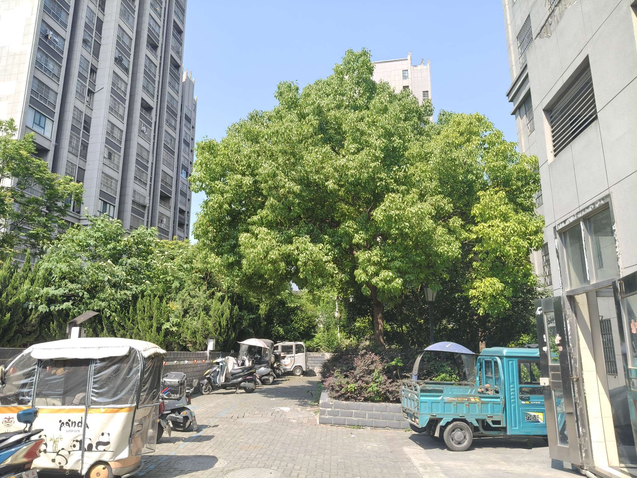 谢家集区 电梯房两室_8