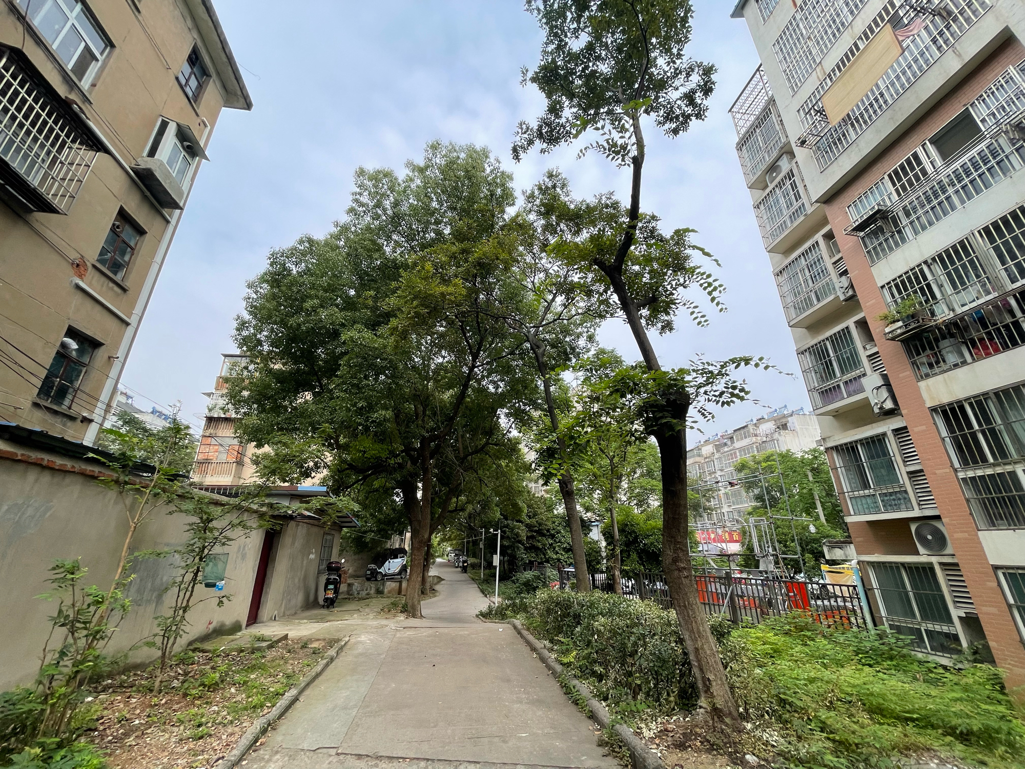 建南村老楼 46平 精装三室二厅 交通便利 学区房_11
