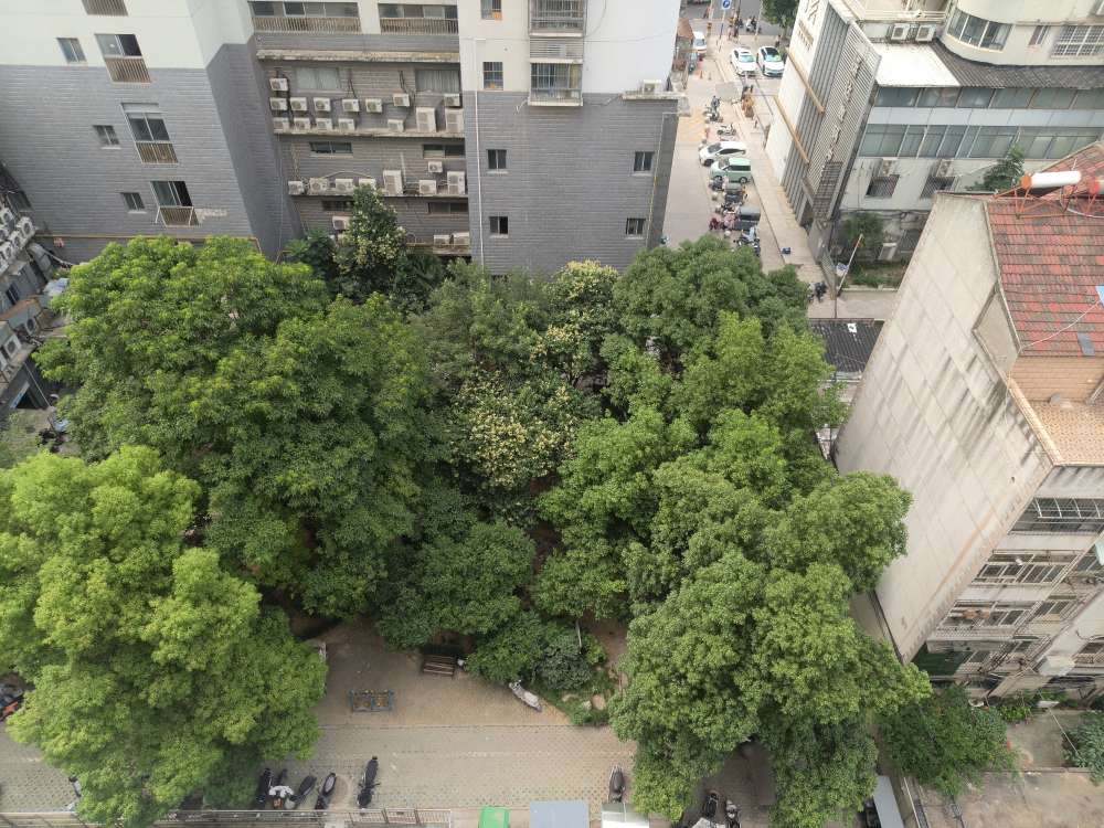 云景华城73平一室一厅_10