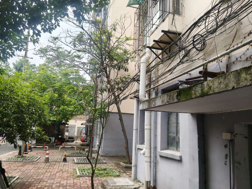 教院家属楼 60平 南向两室两厅 随时看房 配套齐全_12