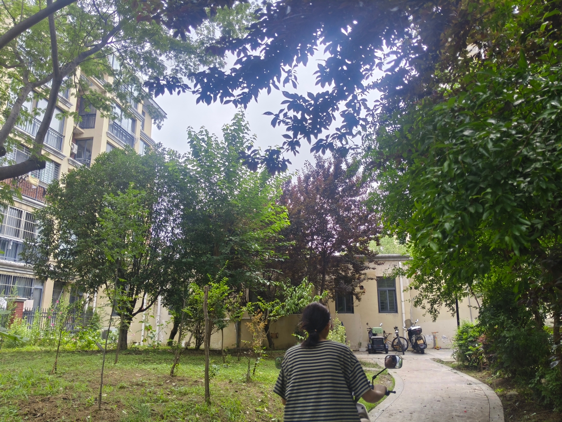 西湖春天 126平 精装三居 交通便利学区房 随时看房_8