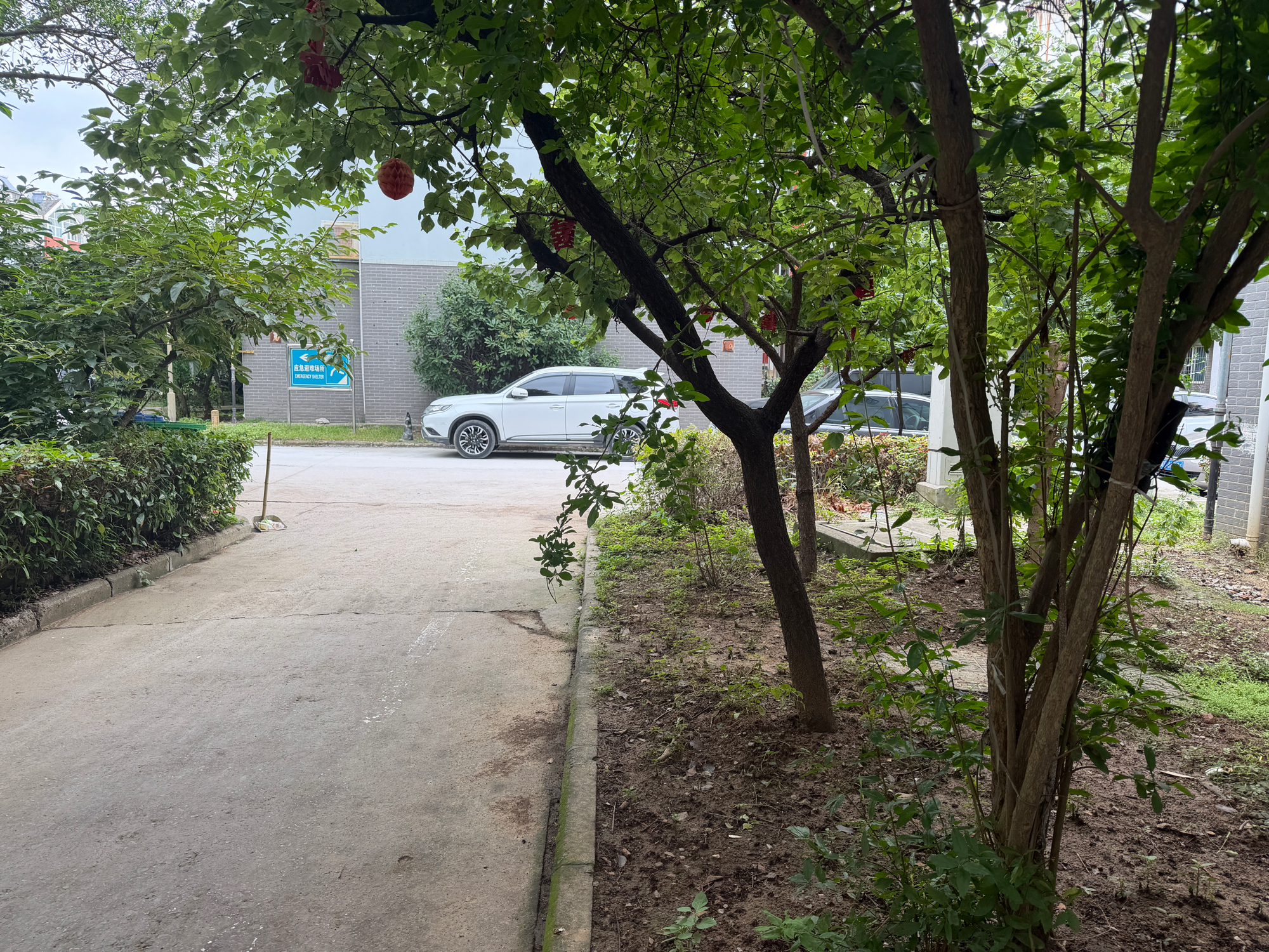 新社西村东区 95平 朝南三居 简装 学区房随时看房_9