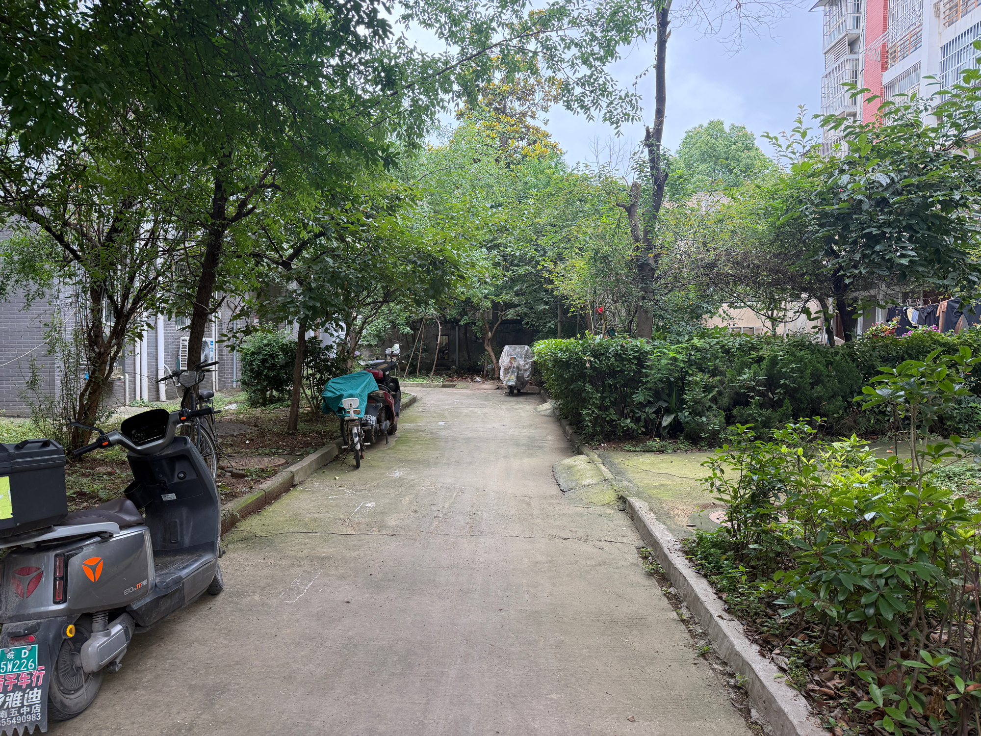 新社西村东区 95平 朝南三居 简装 学区房随时看房_8