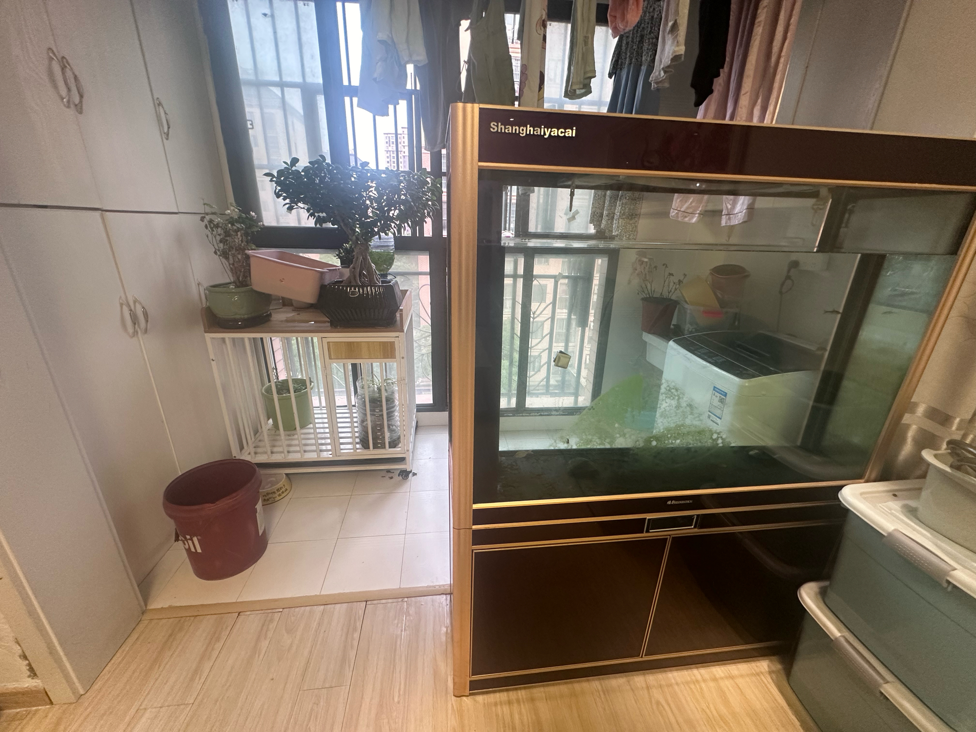 泉山湖 84平精装两居 南北通透 配套齐全 交通便利_5