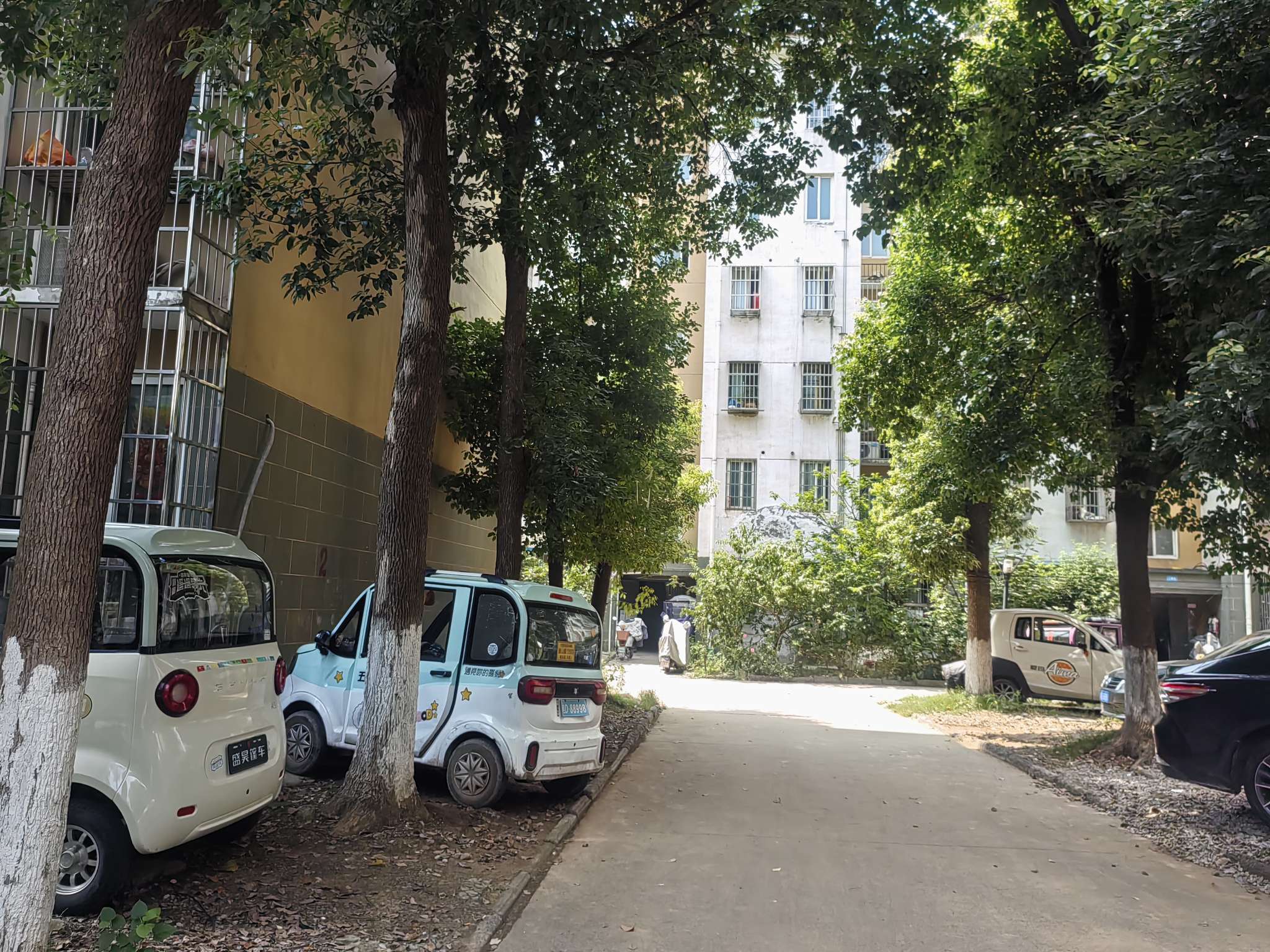 新家园C区 79平两室一厅 学区房 交通便利 简装出租_7