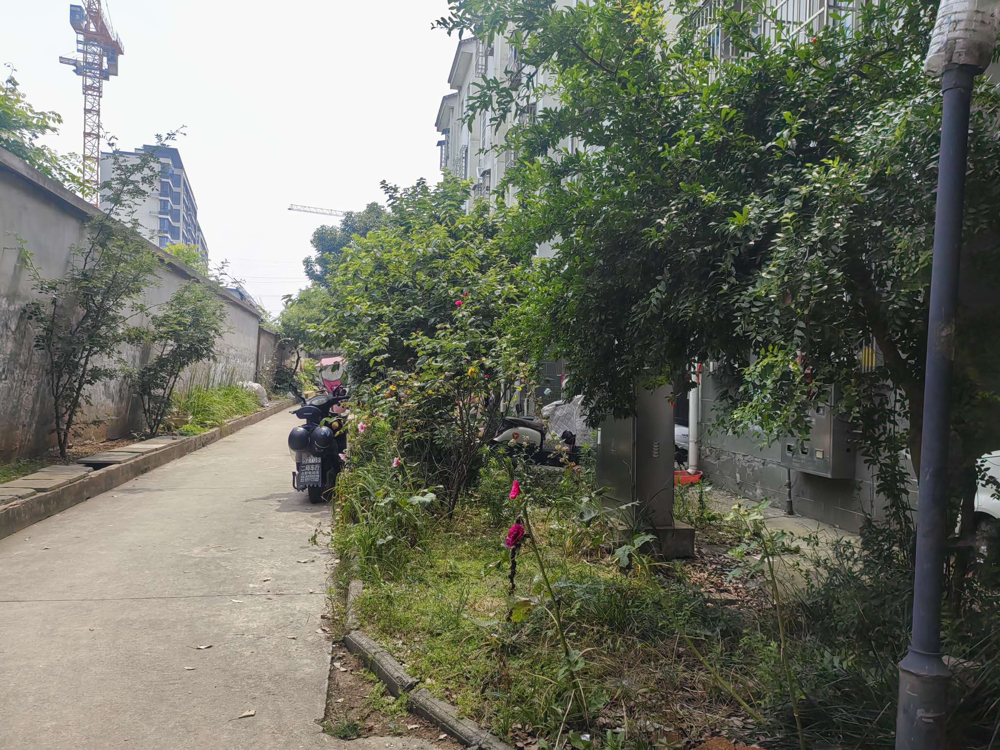 新家园C区 79平两室一厅 学区房 交通便利 简装出租_8