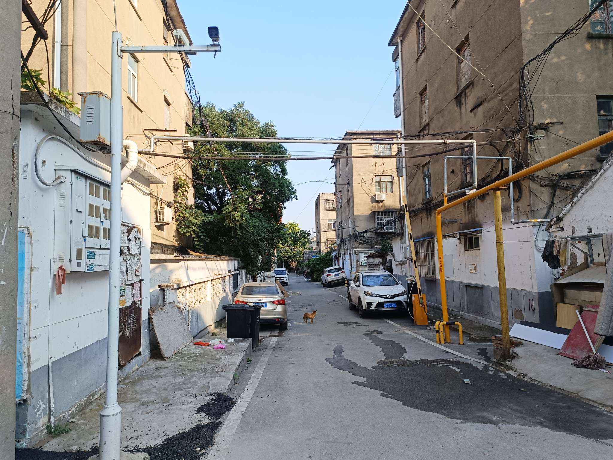 水泥厂支架村 46平 两室一厅 南向简装 交通便利_8