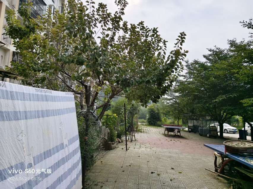谢家集区夏郢新村_13